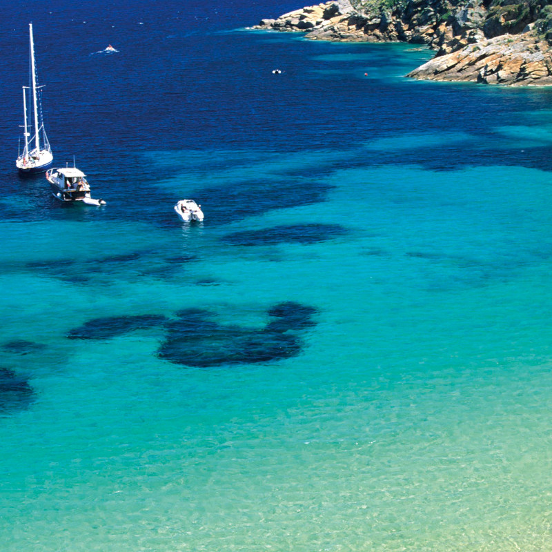 giglio island guide maremm tuscany.