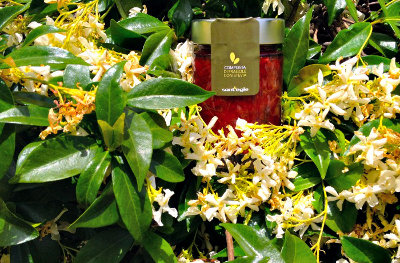 Stevia organic jams, Tuscany