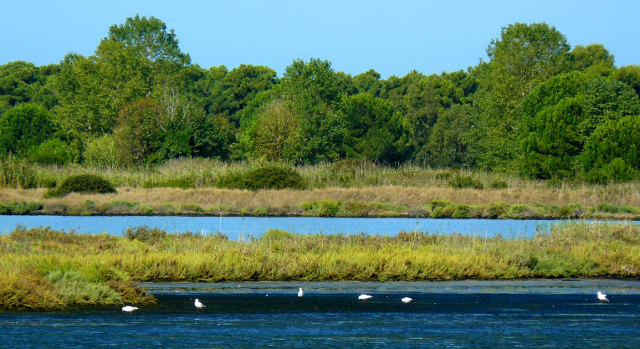 Orbetello Lagoon Oasis, Tuscany - photo from GeolocationWs