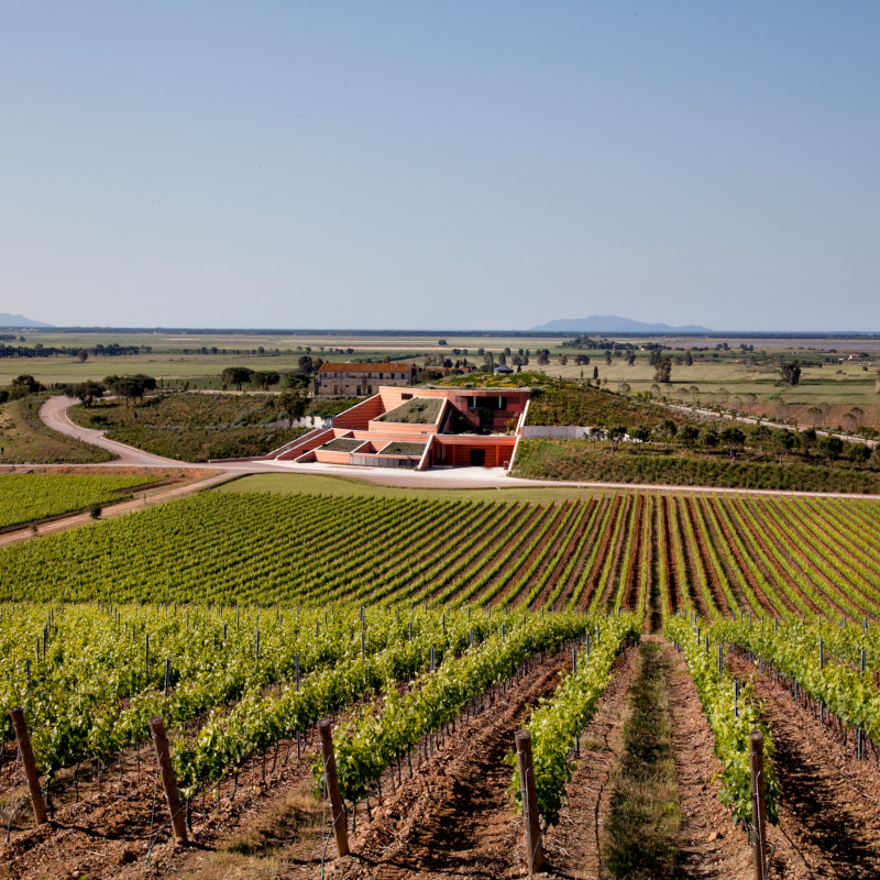 maremma mortelle winery design