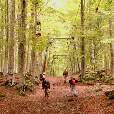 monte amiata forest
