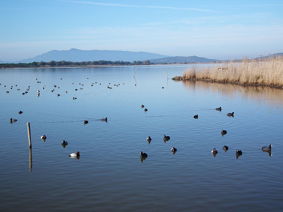 lake burano visit maremma tuscany
