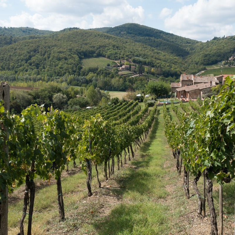 maremma wine shire tuscany