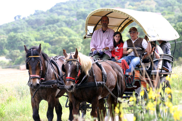 Chariot tour in Uccelina Nature Park, Maremma Tuscany