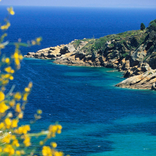 silver coast video tuscany