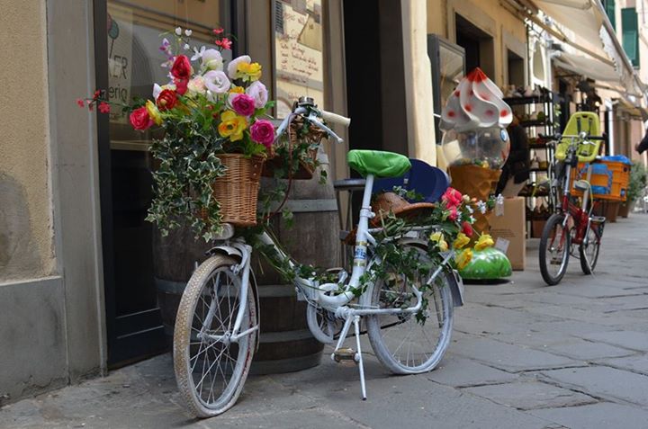 Bycicles in Orbetello, Argentario