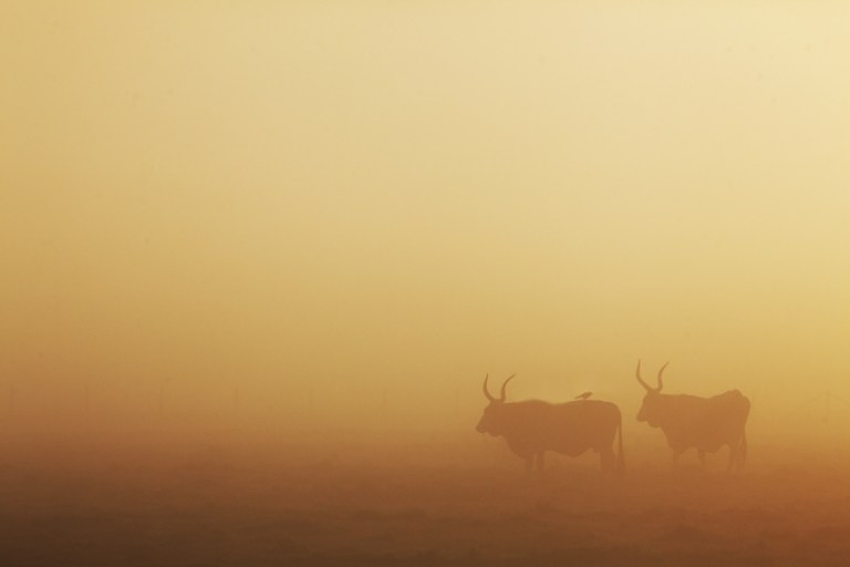 Andrea De Maria Maremma Tuscany (1)