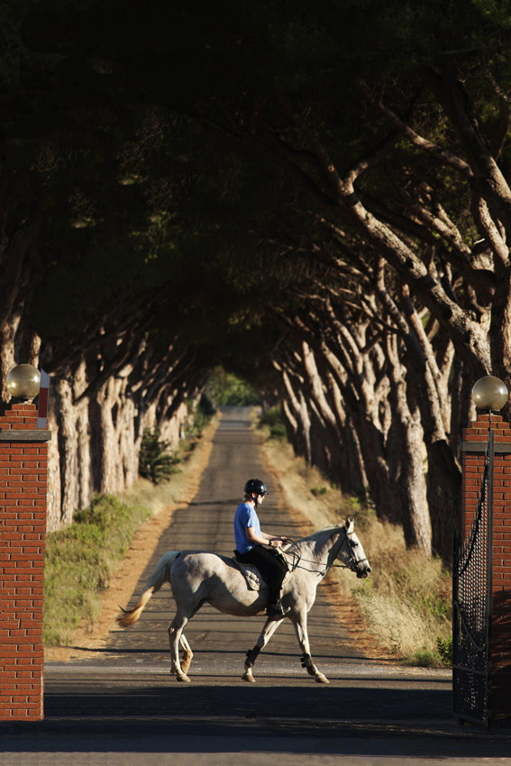 Andrea De Maria Maremma Tuscany