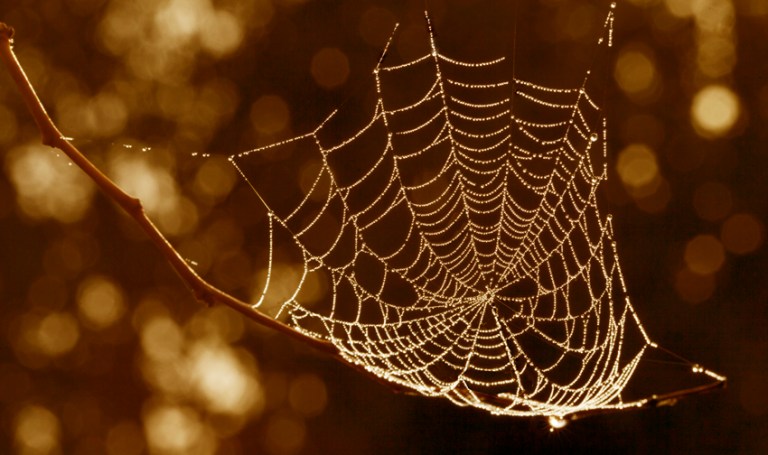 Andrea De Maria Maremma Tuscany