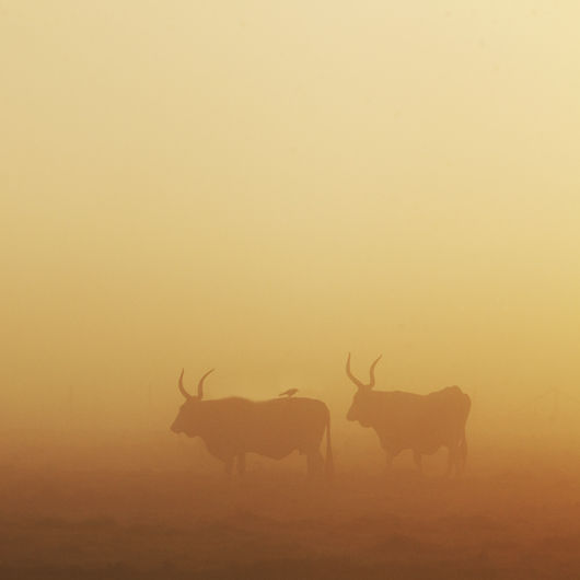 Andrea De Maria Maremma Tuscany (cover