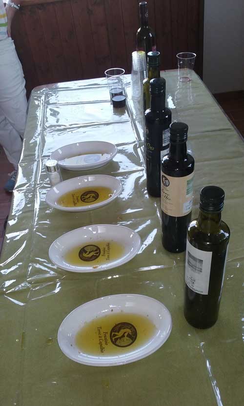 olive oil tasting