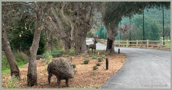 the new entrance road of Argentario Golf & Wellness Resort