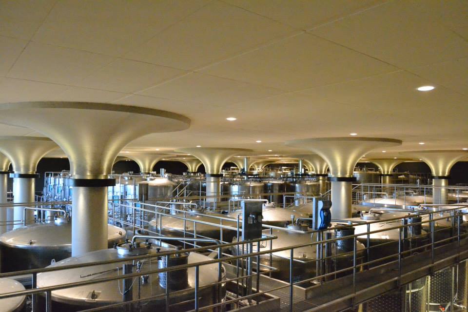 Visiting Val Delle Rose Winery Tuscany