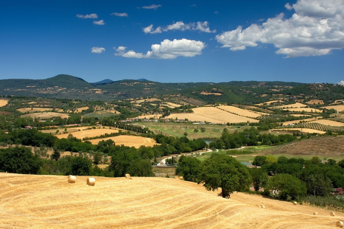 Countryside vibes (photo by nirolfix on Pixabay)